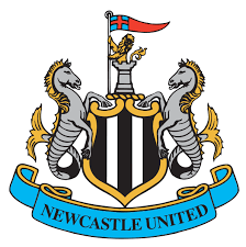 Wolverhampton Wanderers Set to Lose One of Their Top Young Talents as Newcastle United Agreement Emerges